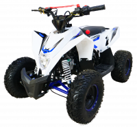 Квадроцикл Motax GEKKON 90cc Бело-синий
