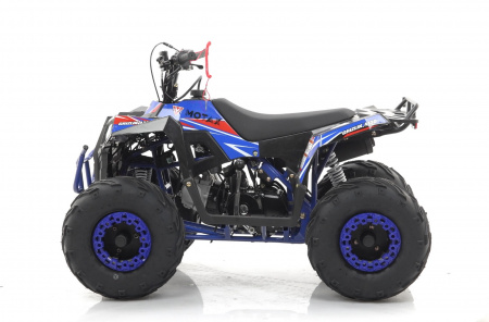 Квадроцикл MOTAX GRIZLIK A110