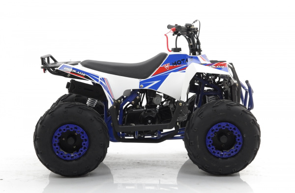 Квадроцикл MOTAX GRIZLIK A110