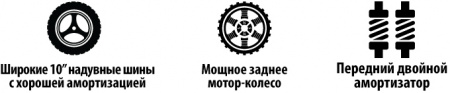 Электросамокат Iconbit TRIDENT X10 Black