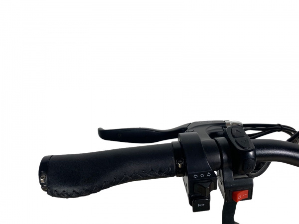 Электровелосипед E-motions' Fighter double 2