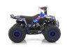 Квадроцикл MOTAX GRIZLIK A110