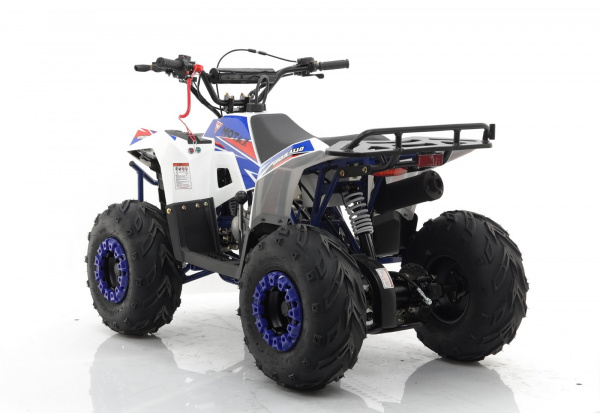 Квадроцикл MOTAX GRIZLIK A110