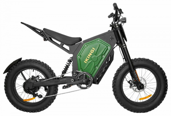 Электровелосипед Ikingi EBA 219