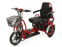 Электротрицикл Transporter Dual PLUS (M)
