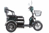 Электротрицикл Rutrike S2 V2 Зеленый