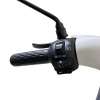 Электроскутер Skyboard Yalta 1200W White
