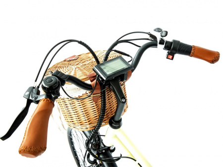 Электровелосипед Elbike Monro Vip