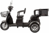 Электротрицикл Rutrike S2 L1 Серый